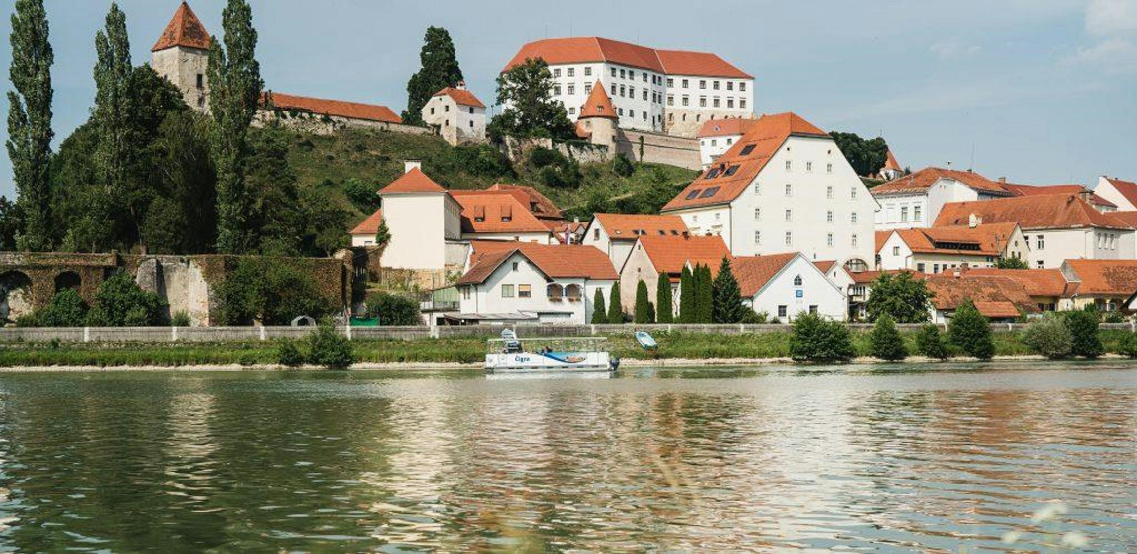 Čigra